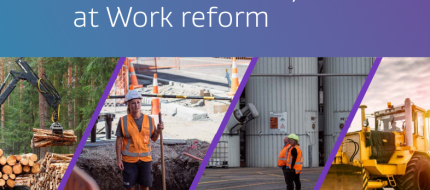 graphic for H&S at work reform